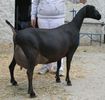 La Mancha ce pulpa Dumnezeule