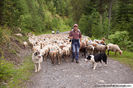 Plecam in muntii Alpi