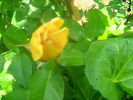 Picture 120
