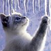 imagini-de-iarna_pisicuta-si-turturi-150x150