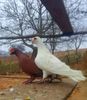 20150101_133539 modified