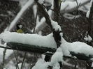 DSCN1428