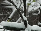 DSCN1429