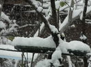 DSCN1447
