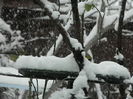 DSCN1448