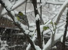 DSCN1452