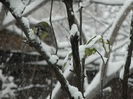 DSCN1454