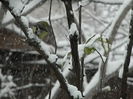 DSCN1455