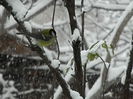 DSCN1456
