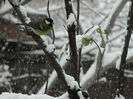 DSCN1461