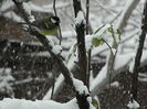 DSCN1463