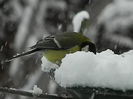 DSCN1579