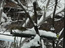 DSCN1643