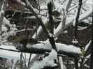 DSCN1644