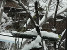 DSCN1645