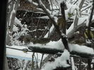 DSCN1646