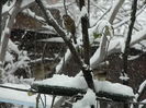 DSCN1657