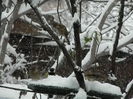 DSCN1658