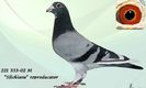 sficheatu