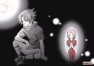 a_3527[1]