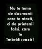 100483139_FNETXYI