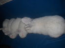 DSCN0556