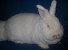 DSCN0565