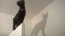 WP_20141227_002