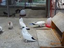 DSC00259