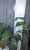 CAM00346