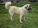 athos 2
