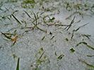 DSC04666