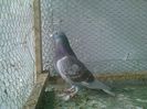 Imag 012344