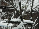 DSCN2060