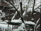 DSCN2061