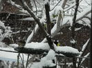DSCN2062