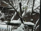 DSCN2065