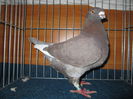IMG_3592 f 2013