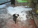 DSCN1541