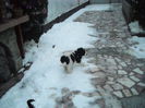 DSCN1542