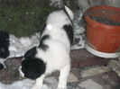 DSCN1544