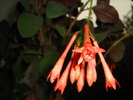 IMG_0091