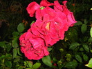 IMG_0094_2
