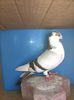WP_20150105_081
