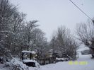 100_8286