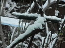 DSCN2659