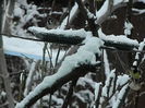 DSCN2661