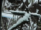 DSCN2671