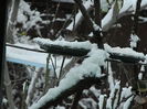 DSCN2673