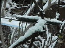 DSCN2674
